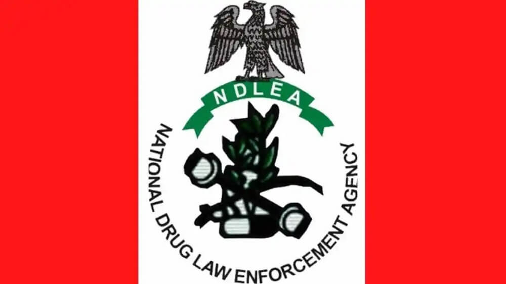 NDLEA Screening and Aptitude Test Date 2024/2025 Centers and Screening Requirements