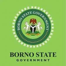 Borno State Civil Service Recruitment 2024/2025 Application Is Out For Applicants Applying For Public Offices and Form Portal