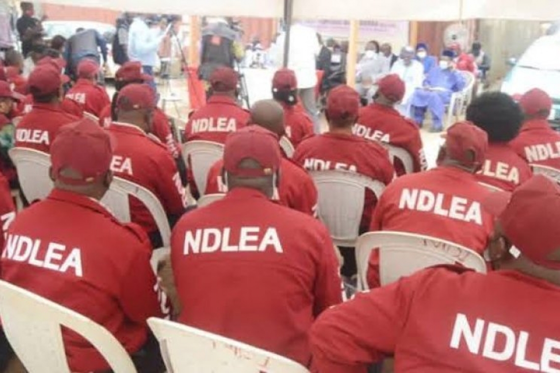 NDLEA Recruitment 2024/2025 Application Form, Online Update on www.ndlea.gov.ng and How To Apply
