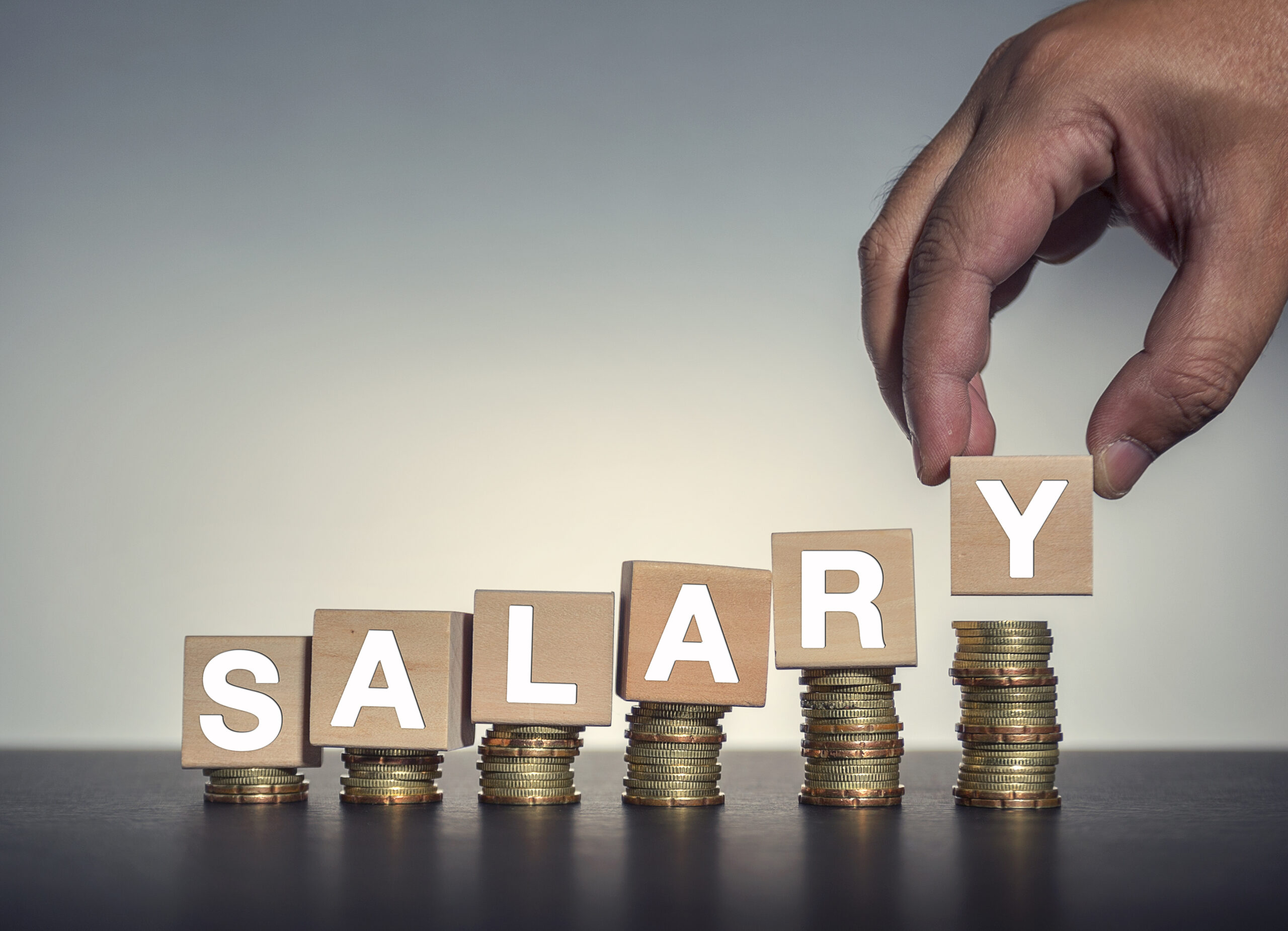 NESREA Salary Structure 2023/2024 Working Benefits and Allowances In Nigeria (Employees)