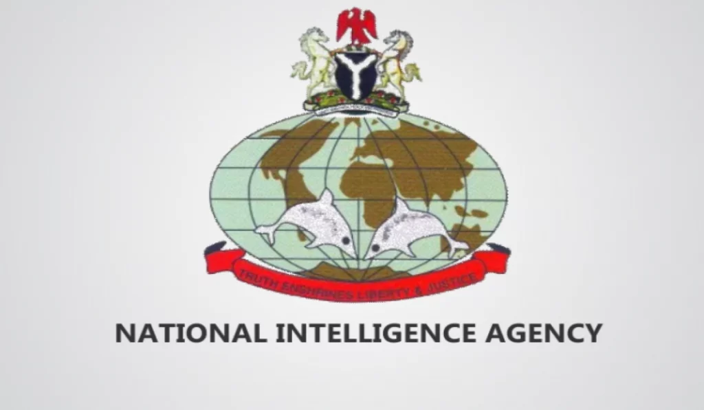 NIA Recruitment 2024/2025 Application, Job Eligibility, Form Portal and How To Apply